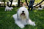     
: IMG_6609.jpg
: 46
:	139.6 
ID:	11459953