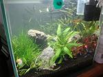     
: DSC02430.jpg
: 16
:	118.8 
ID:	11459973