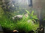     
: DSC02431.jpg
: 10
:	122.5 
ID:	11459976