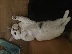     
: IMG_9472.jpg
: 14
:	107.1 
ID:	11460067