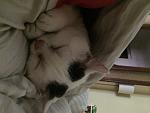     
: IMG_9423.jpg
: 6
:	116.9 
ID:	11460068