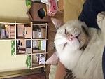     
: IMG_9378.JPG
: 7
:	297.2 
ID:	11460070