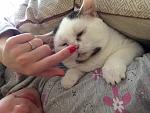     
: IMG_9290.JPG
: 10
:	291.9 
ID:	11460071