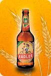     
: radler.jpg
: 18
:	16.5 
ID:	1146039