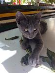     
: P60904-125730.jpg
: 13
:	73.2 
ID:	11461270