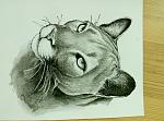     
: P50925-185422.jpg
: 13
:	135.0 
ID:	11461428