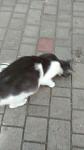     
: MIT0o_cF-FU.jpg
: 16
:	39.6 
ID:	11463030