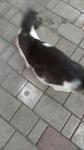     
: q5tfu7zeuMI.jpg
: 11
:	41.2 
ID:	11463031