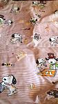     
: 20160906_101758.jpg
: 12
:	112.3 
ID:	11463976