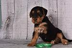     
: DSC_8730[1].jpg
: 14
:	119.7 
ID:	11465110