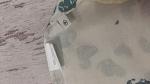     
: 20160906_145829.jpg
: 42
:	54.8 
ID:	11465139