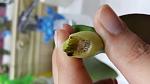     
: 20160906_181450.jpg
: 41
:	54.9 
ID:	11465903