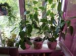     
: 2016-09-08 12.24.23.jpg
: 13
:	194.1 
ID:	11470082