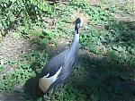     
: 01102007692-.jpg
: 9
:	51.3 
ID:	114755