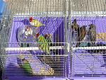     
: P1050820.jpg
: 7
:	242.6 
ID:	11475706