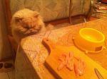     
: IMG_4105.jpg
: 4
:	173.3 
ID:	11477183