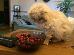    
: IMG_6263.jpg
: 8
:	99.5 
ID:	11477196