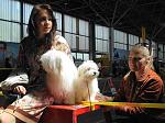     
: DSC09159.jpg
: 17
:	120.1 
ID:	11478680