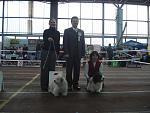     
: DSC03082.jpg
: 17
:	100.1 
ID:	11478681