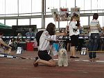    
: DSC09350.jpg
: 29
:	256.4 
ID:	11478684