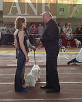     
: DSC09214(1).jpg
: 20
:	103.4 
ID:	11478687