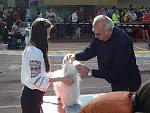     
: DSC09205.jpg
: 22
:	115.0 
ID:	11478688