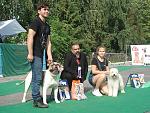    
: DSC03969.jpg
: 15
:	171.8 
ID:	11478693