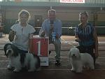     
: DSC02512.jpg
: 26
:	92.3 
ID:	11478694