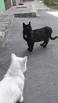     
: _VDmjJ9f3F8.jpg
: 10
:	178.1 
ID:	11482435