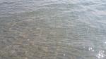     
: 20160913_111623.jpg
: 19
:	76.1 
ID:	11483487