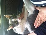     
: IMG_1068.jpg
: 8
:	162.9 
ID:	11485147