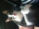     
: IMG_1077.jpg
: 9
:	115.4 
ID:	11485148