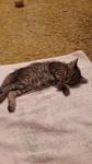     
: IMG-1472669430480-V.jpg
: 77
:	6.2 
ID:	11485813