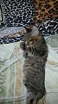     
: 20160909_184435_resized_1.jpg
: 52
:	101.0 
ID:	11486075