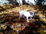     
: 4bwx2d0WNZQ.jpg
: 2
:	264.3 
ID:	11486268