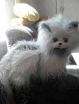     
: IMG_2016-09-15_122314.jpg
: 11
:	58.6 
ID:	11488942