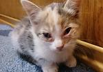     
: _20160913_225515.jpg
: 15
:	101.6 
ID:	11490830