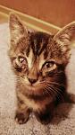     
: _20160915_210829.jpg
: 12
:	70.0 
ID:	11490844