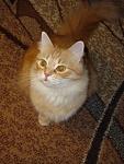     
: DSC03942.JPG
: 25
:	97.5 
ID:	1149307