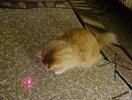     
: DSC03950.JPG
: 29
:	71.4 
ID:	1149308
