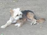     
: IMG_2016-08-11_181322.jpg
: 13
:	83.3 
ID:	11493279