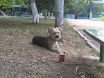     
: IMG_2016-08-11_180512.jpg
: 13
:	172.6 
ID:	11493282