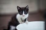     
: 259264490.jpg
: 93
:	169.1 
ID:	11495155