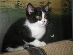     
: 0b1a2e146bdee923cf5b0c81b1ca6d11.jpg
: 95
:	58.3 
ID:	11495156