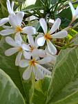     
: 01112014051.jpg
: 25
:	91.1 
ID:	11497567