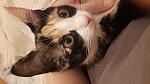     
: attachment (1).jpg
: 10
:	103.8 
ID:	11498874