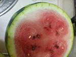     
: IMG_20160919_212553.jpg
: 12
:	91.7 
ID:	11501632