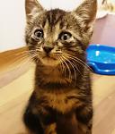     
: _20160917_003045.jpg
: 13
:	81.2 
ID:	11501887
