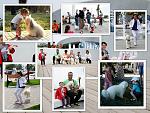     
: Desktop 5.jpg
: 16
:	147.3 
ID:	11501897