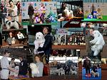     
: Desktop 4.jpg
: 19
:	150.8 
ID:	11501900